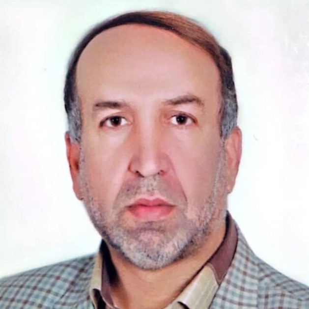 محمد مهدی تیموری